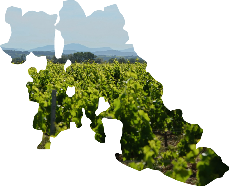 vallee-rhone-carte