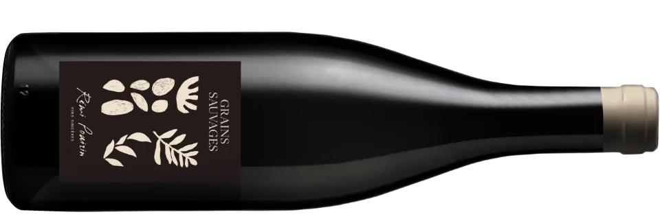 vin-grains-sauvages-domaine-remi-pouizin